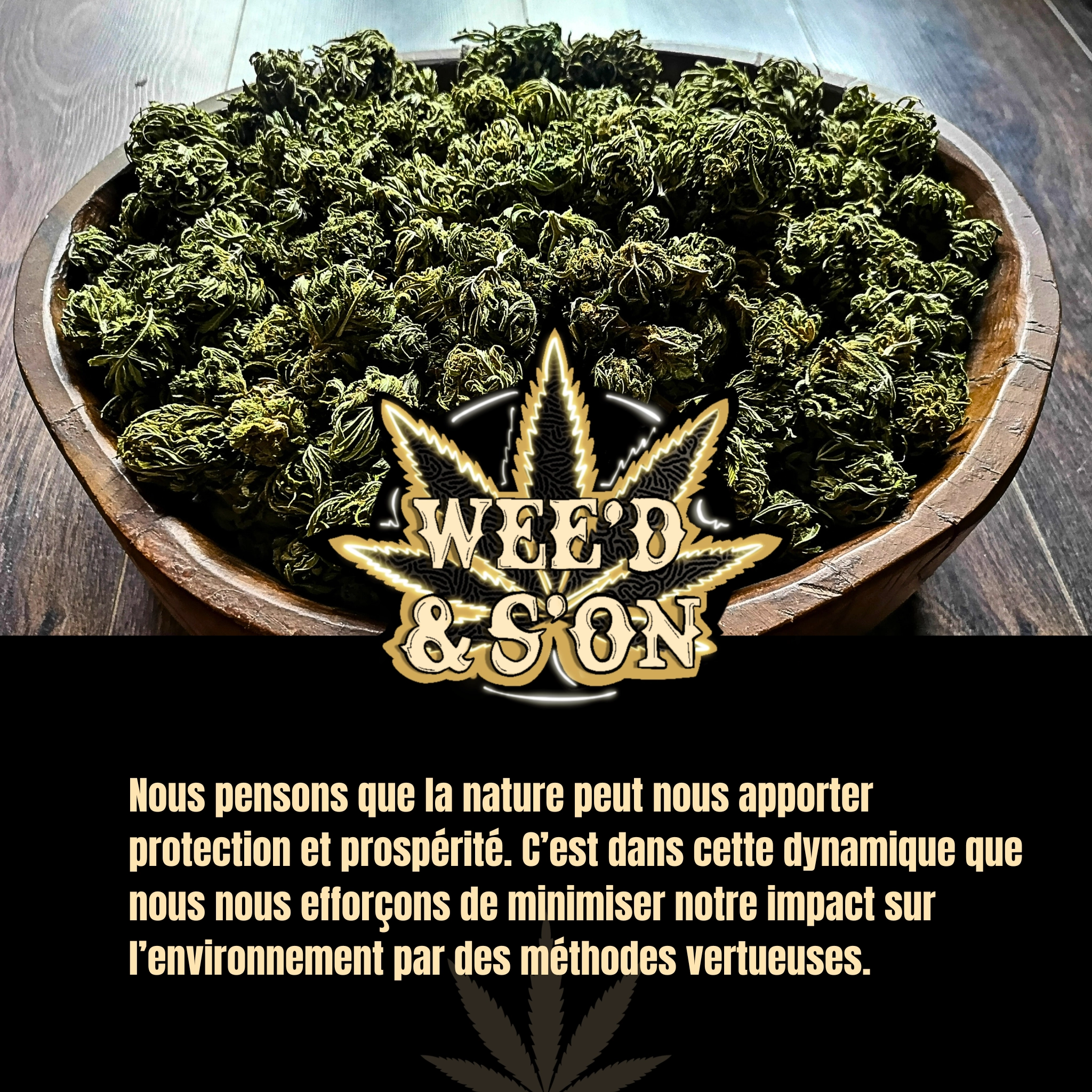 culture de cbd weed&son, isle jourdain