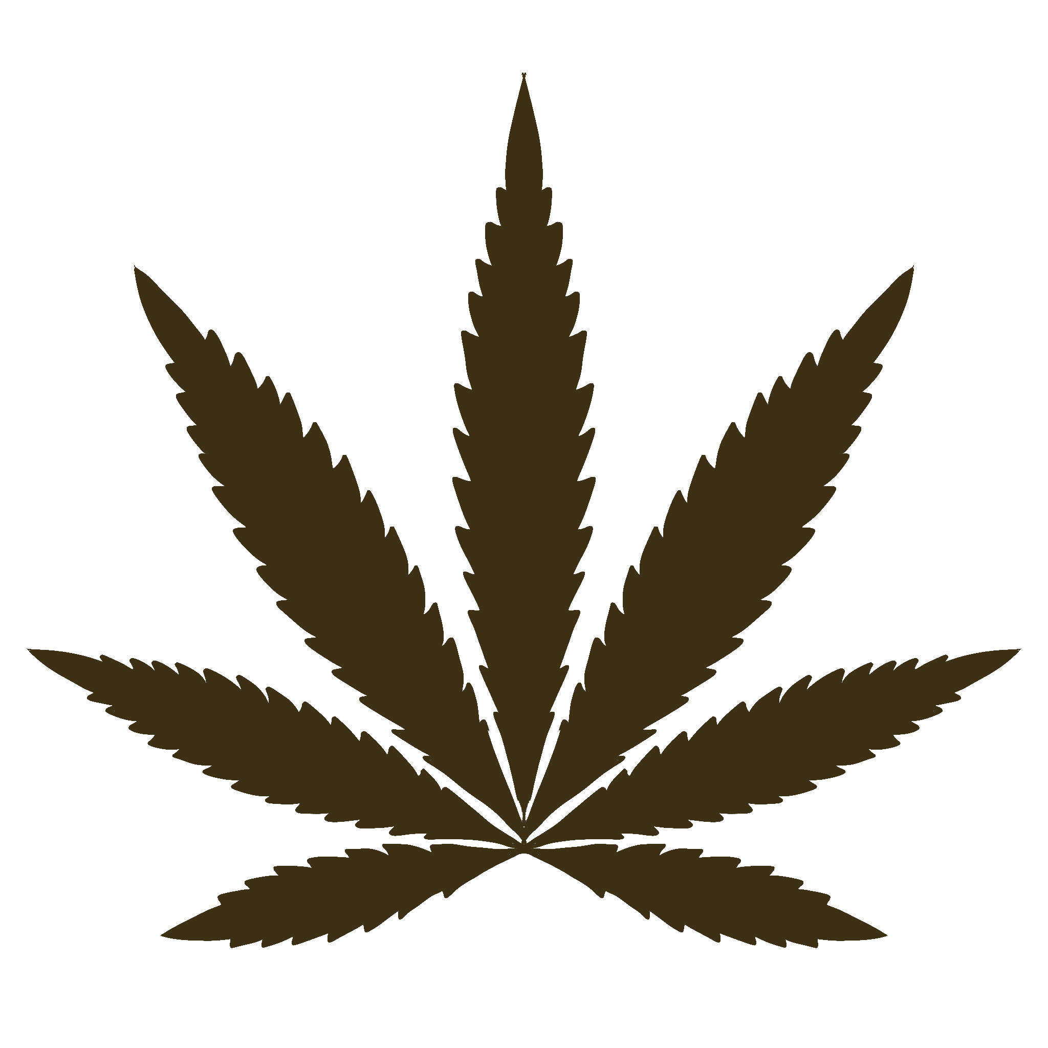 culture de cbd weed&son, isle jourdain